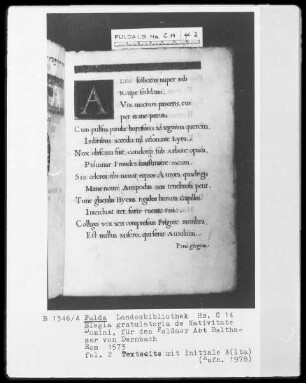 Elegia gratulatoria de Nativitate Domini, für den Fuldaer Abt Balthasar von Dernbach — Intiale A(lta), Folio 2recto