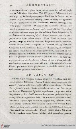 Ad Caput XIV