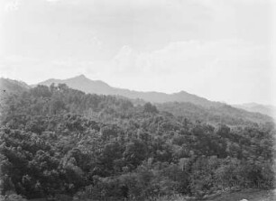 Gebirgslandschaft : Vegetationslandschaft eines Gebirges