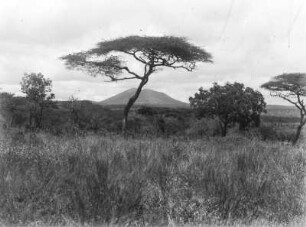 Landschaft : Blick auf Steppe und Berg