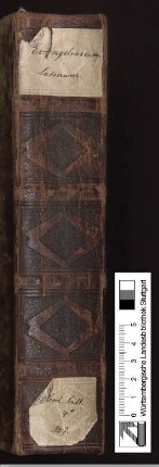 Evangeliar - Cod.bibl.qt.7