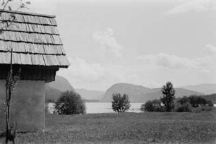 Wocheiner See : Felsformation am Ostufer des Bohinjsko jezero (Wocheiner See).