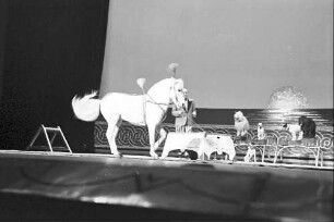 Wintergarten: Klein Circus; Rambeau