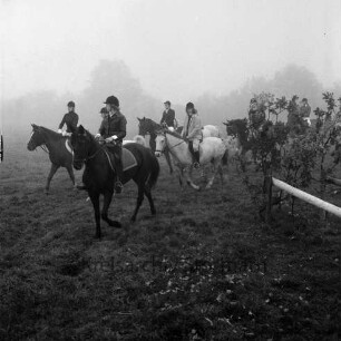 Hubertusjagd: Reit- und Fahrverein Zarpen und Umgebung e.V.: Beginn der Jagd: Reiter: vorn rechts Hindernis: Nebel