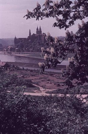 Meißen. Blick über die Elbe zur Burg