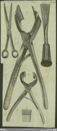 Tab. VIII. Fig. 1 - 5