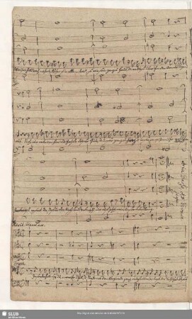 Recit[ativo] acc[ompagnato]: Insonderheit sei du o werte Schul' und Stadt