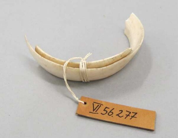 Arm ring (fragment)