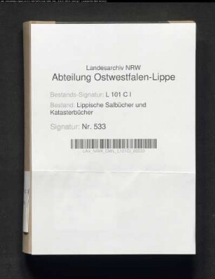 Salbuch des Amtes Blomberg von 1826, Bd. 2