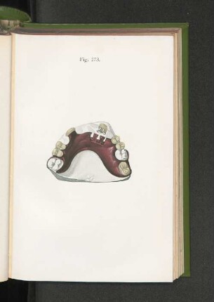 Fig. 273.