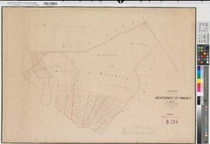 Bottrop (Bottrop), Teilung des Bischofs Sundern, Bl.2 Reinkarte