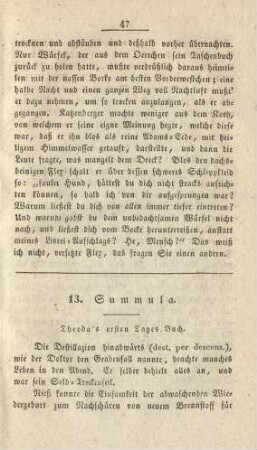 13. Summula. Theoda's ersten Tages Buch