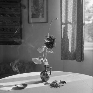 Vase mit Mohnblume und Dahlie im Teupitzer Wochenendhaus.