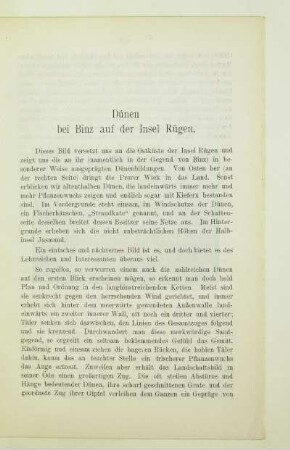 Dünen bei Binz auf der Insel Rügen