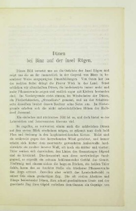 Dünen bei Binz auf der Insel Rügen