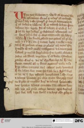 Johannes de Castellione, Sermo in visitatione