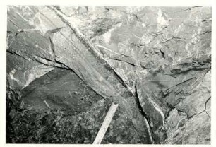 Dresden-Gittersee. Grubenfeld Gittersee. 2. Sohle. Aufhauen 3, Strecke 361 West bei 29 m. 5. Flöz. Kamm über Lette 3. Im Kamm am Salband Fließtextur, rechts Calamiten-Stammrest
