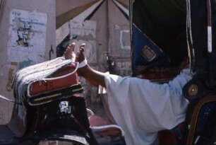 Schlafender Kutscher : Schlafender Kutscher in Luxor, 2003