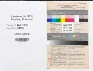 Entnazifizierung Aenne Stobb, geb. 10.06.1894 (Angest.)