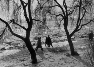 Hamburg-Nienstedten. Der Elbuferweg im Winter 1956. Eisschollen der Elbe türmen sich im Uferbereich