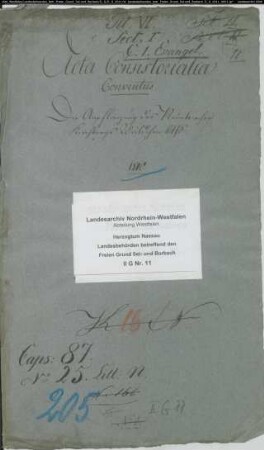 Die Anpflanzung des Neunkircher Kirchbergwäldchens