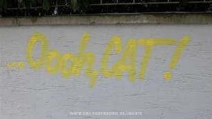 ...Oooh, CAT!