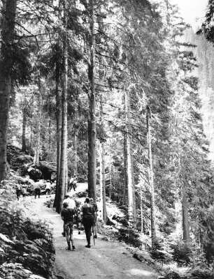 Österreich. Nationalpark Hohe Tauern. Auf dem Weg zu den Krimmler Wasserfällen, den höchsten Wasserfällen Österreichs