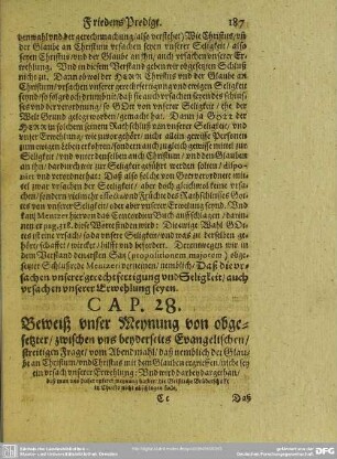 Cap. 28. Beweiß vnser Meynung von obgesetzter, zwischen uns beyderseits Evangelischen streitigen Frage
