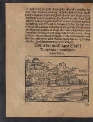 Vonn der mechtigen Stadt Babylonia/ unnd ihrem hohen Thurn.