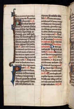 Historisierte Initiale: H(ii sunt enim fructus bone arboris): Mann mit Hundsgugel