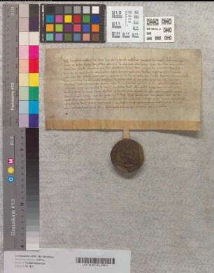 Der Stadt Werl Schuldbrief für das Kloster Marienfeld.