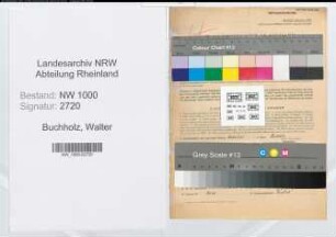 Entnazifizierung Walter Buchholz, geb. 22.06.1902 (Arbeiter)