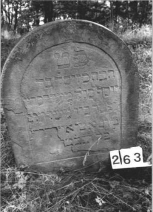 Grabstein 263