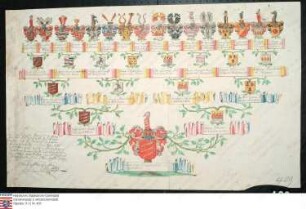 Ahnenprobe des Lothar Franz Specht v. Zwiefalten. - ausgefertigt 1739 September 2, Pergament