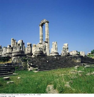 Türkei: Didyma