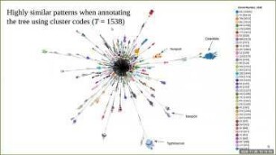 High-resolution characterization of global Salmonella subpopulations