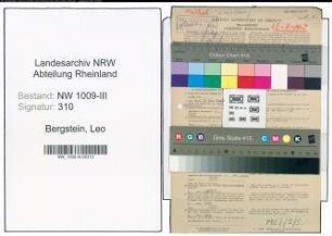 Entnazifizierung Leo Bergstein , geb. 03.04.1902 (Arzt)