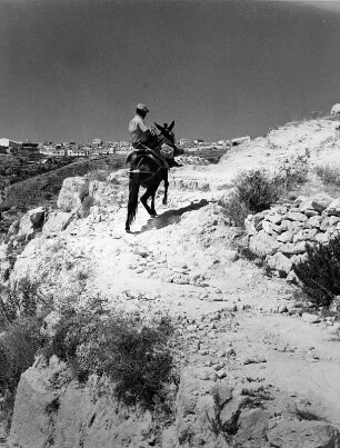 Italien. Pilgerweg vom Monte Gargano nach Monte Sant’Angelo in Apulien. Ansicht mit Eselreiter