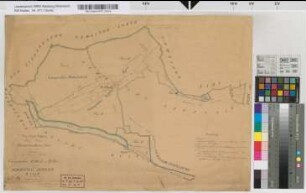Reg.-Bez. Düsseldorf, Kr. Cleve, Bgm. Niel. Auszug aus den Katasterkarten der Gemeinden Zyfflich und Wyler, enthaltend die Deichschau Zyfflich, Wyler [Schaupolder Zyfflich-Wyler, Schaupolder Mostertdeich]. Angefertigt im Juli durch den Fortschreibungskommissar Lemmens. Kgl. Reg. Düsseldorf Tit. J Pos. 1 Nr. 45 Schrank D Fach 10; No. 1; D XXIb No. 78