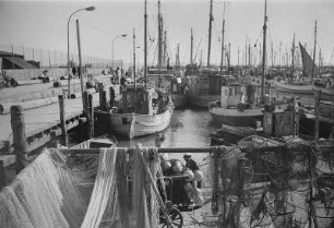 Saßnitz. Fischereihafen mit Fischerbooten