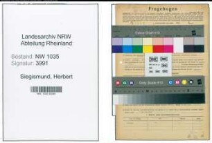 Entnazifizierung Herbert Siegismund , geb. 09.04.1898 (Ingenieur)