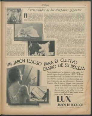 Curiosidades de los témpanos gigantes