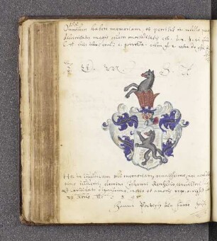 Hans Powisch zur Farbe. – Incipit: Omnium habere memoriam, et penitus in nullo peccare divinitatis magis quam mortalitatis est [aus: De Confirmatione Digestorum, § 14]. – o.O., 23.12.1595