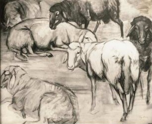Marc, Franz. Schafherde im Stall. Tempera und Kohle; 50 x 60 cm. Um 1908