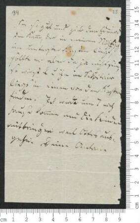 Brief von Antonie von Chamisso an Adelbert von Chamisso