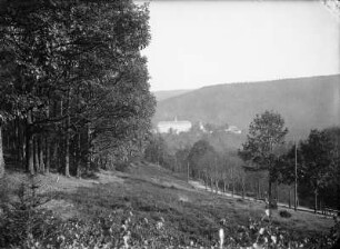 Blick zu Schloss Schwarzburg im Schwarzatal