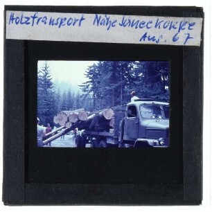 Nordkoppe, Holztransport