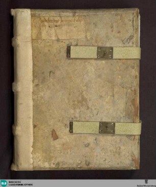 Expositionis Apocalypsis pars secunda, lib. VI-X - Cod. Aug. perg. 100