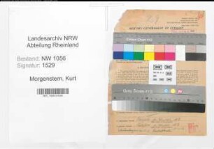 Entnazifizierung Kurt Morgenstern , geb. 20.08.1891 (Angestellter)