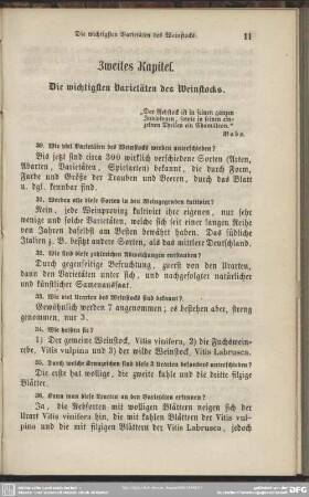 Zweites Kapitel. Die wichtigsten Varietäten des Weinstocks